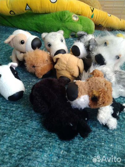 Коллекция собачек