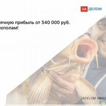 Агентство по рыбоводству в городе Вена, Вена