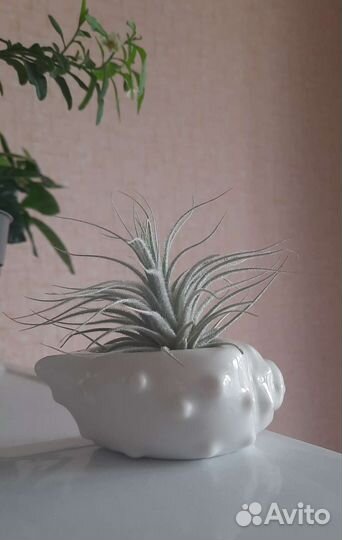 Набор горшочков керамических