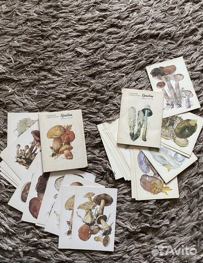 Наборы открыток по искусству