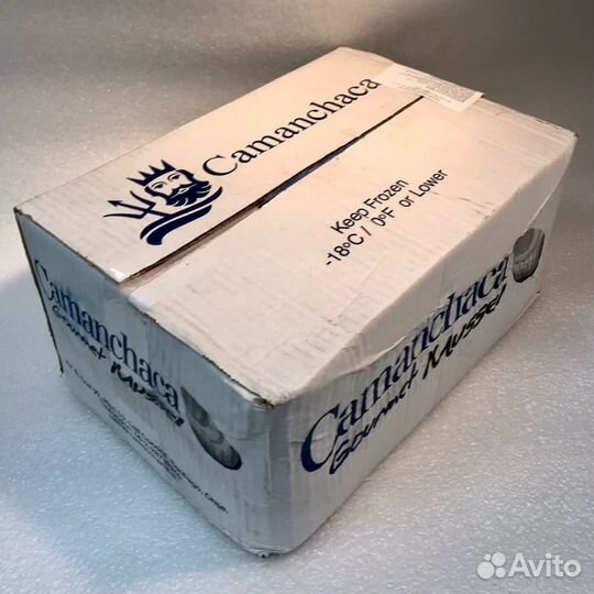 Мясо мидий Чили 100-200