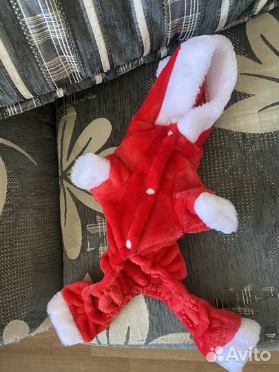 Одежда для маленьких собак