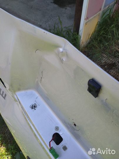 Дверь багажный