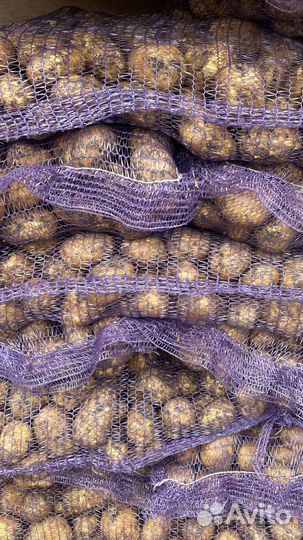 Картофель с доставкой в квартиру