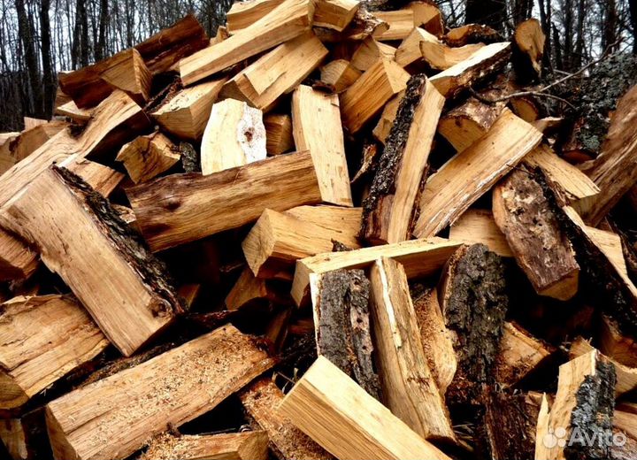 Дрова осина