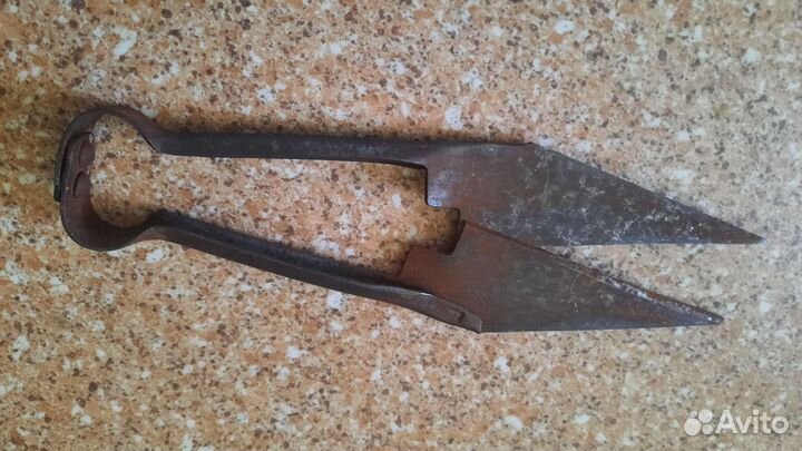 Ножницы для стрижки овец