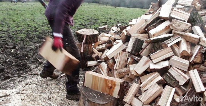 Дрова наколотые