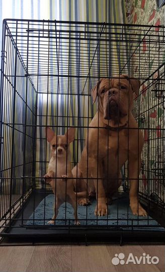 Клетка для собак новая