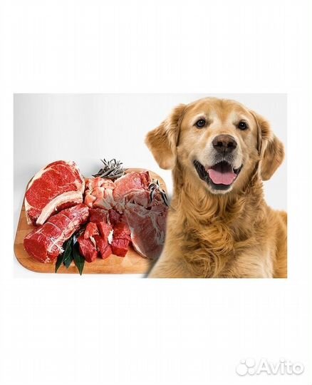 Мясо для собак