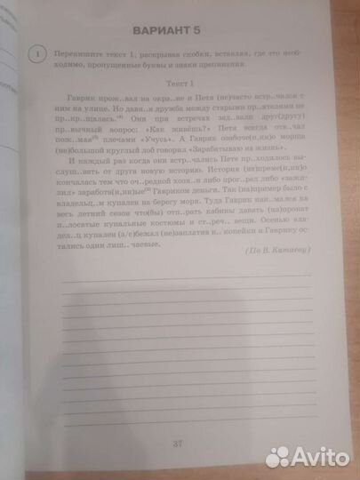 Впр по русскому языку