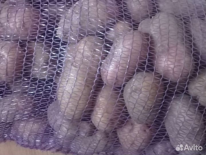 Продам Картофель