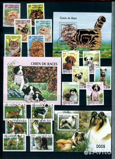 Фауна-часть 11(И марки по другим темам.)