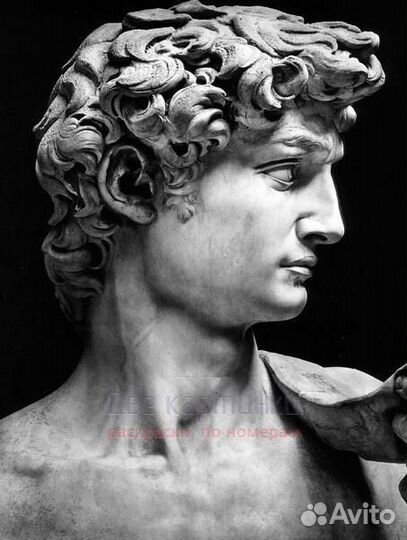 Картина по номерам 40x50 Профиль Давида