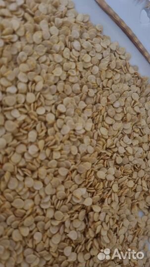 Семена перца (цицак)