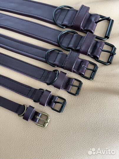 Ошейник для собак по индивидуальным меркам