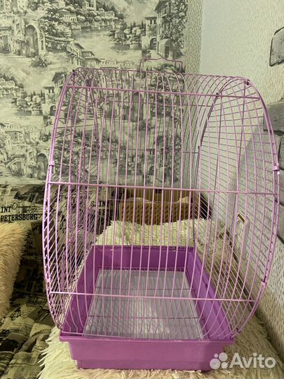 Клетка маленькая для попугаев