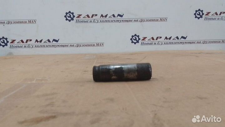 Палец тормозной колодки Man Tgs