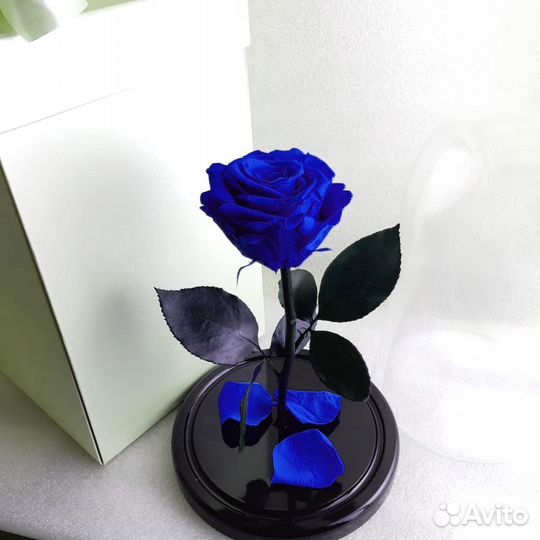 Роза в колбе 