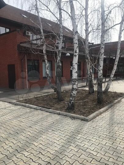 Общепит, 150 м²