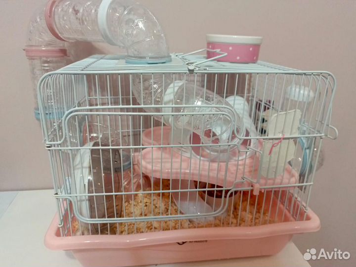 Джунгарский хомяк с клеткой