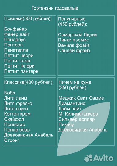 Гортензия метельчатая Лаймлайт (Limelight)