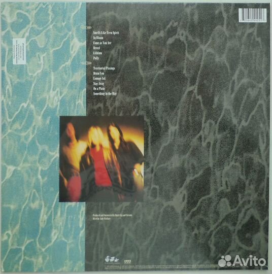 LP: Nirvana / Bloodhound Gang / Sex Pistols