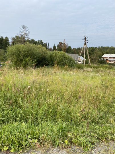 Участок 14 сот. (СНТ, ДНП)