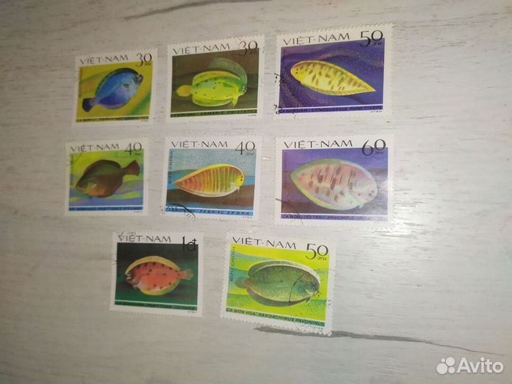 Камбалообразные рыбы, Серия марок Вьетнам 1986г