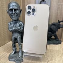 iPhone 12 Pro, 256 ГБ