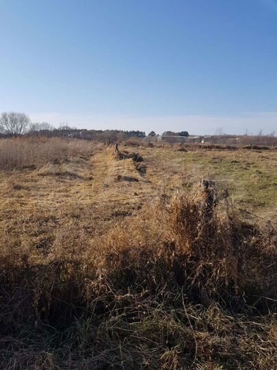 Участок 60 сот. (ИЖС)