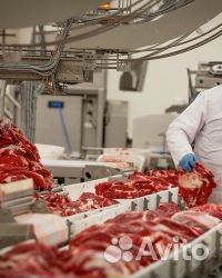 Грузчик Холодильщик Вахта в Воронеж от 75000