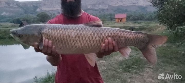 База отдыха 