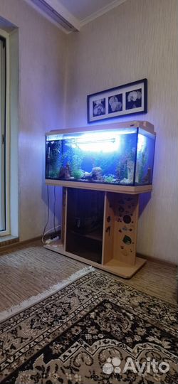 Аквариум