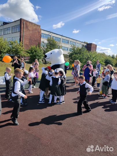 Белый мишка на поздравление