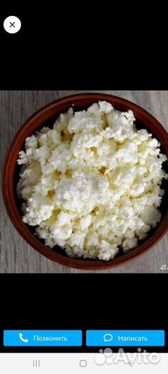 Продам домашний творог оптом