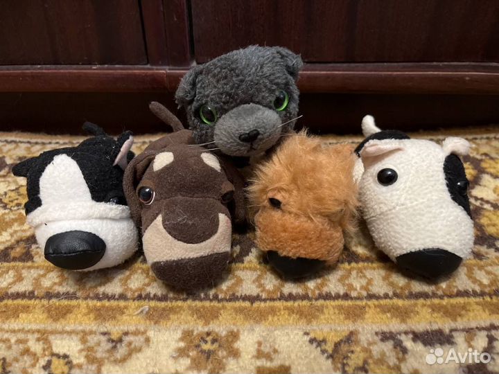 The Cat Collection