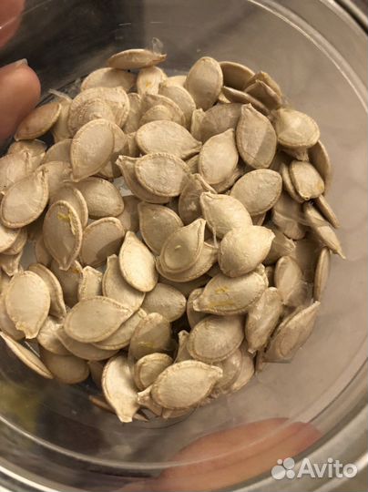 Тыква декоративная вьщаяся Груша