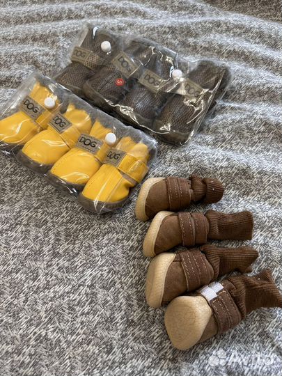 Обувь для собак