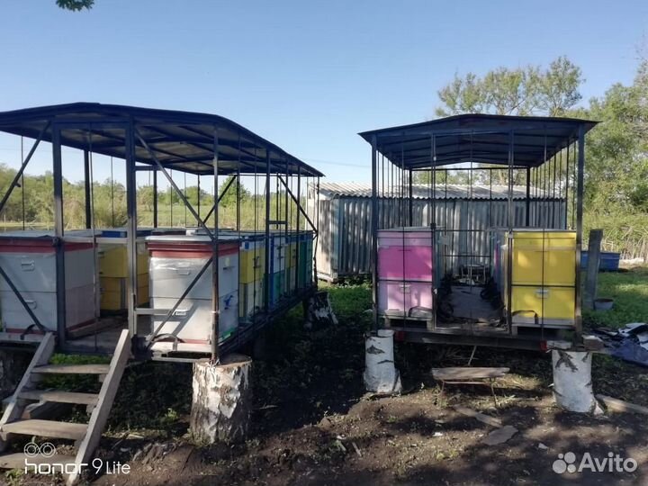 Улья двухьярусные 20 шт с пчелами и 2 прицепа