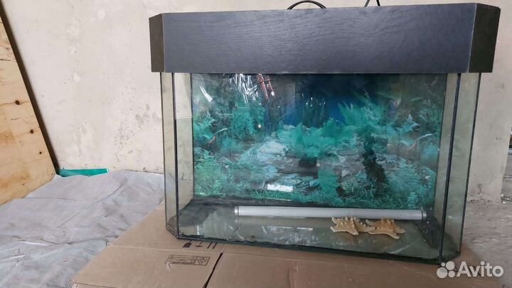 Аквариум