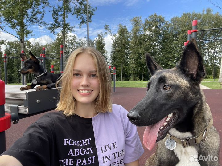 Дрессировка собак, кинолог