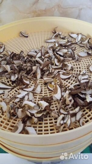 Сушеные грибы. Белые, подосиновики, подберёзовики