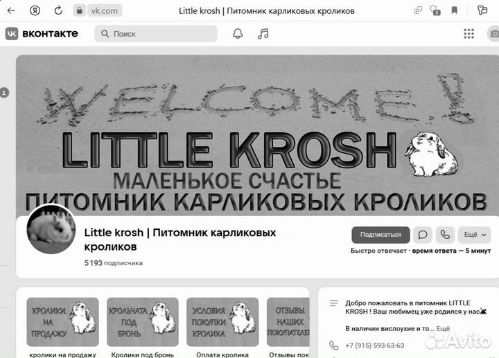 Кролики малыши