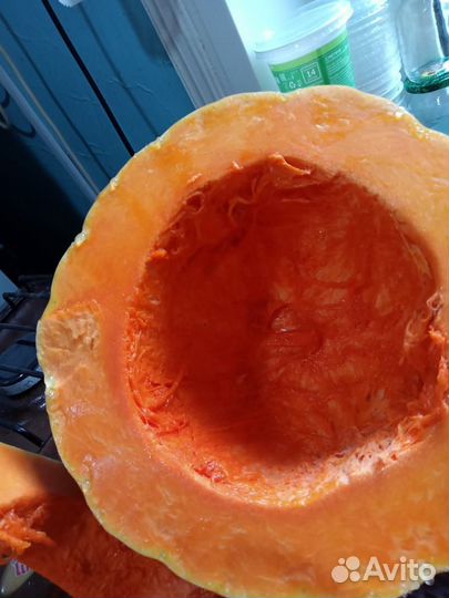 Семена сладкой тыквы на посадку