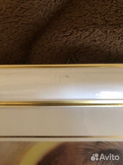 Репродукция 1