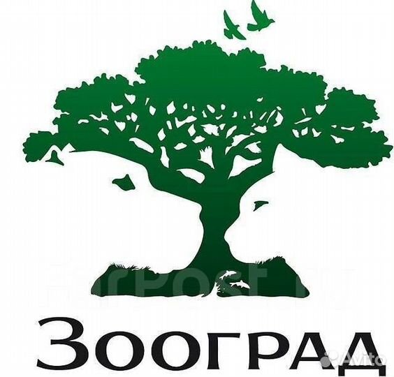 Кладовщик-Грузчик