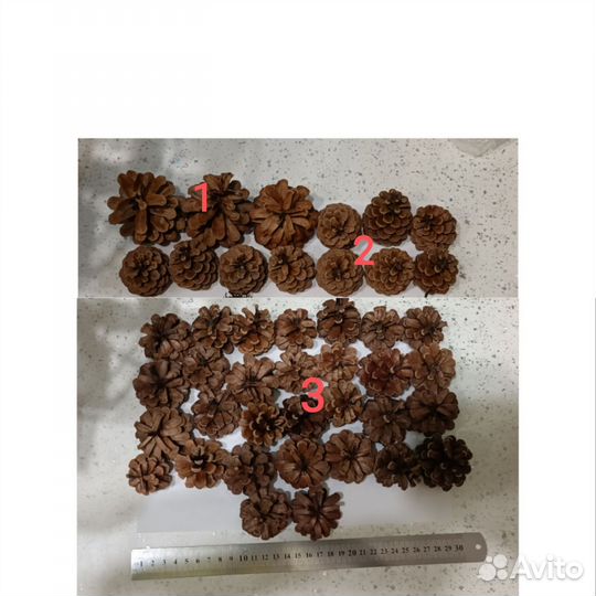 Природные материалы, набор для творчества