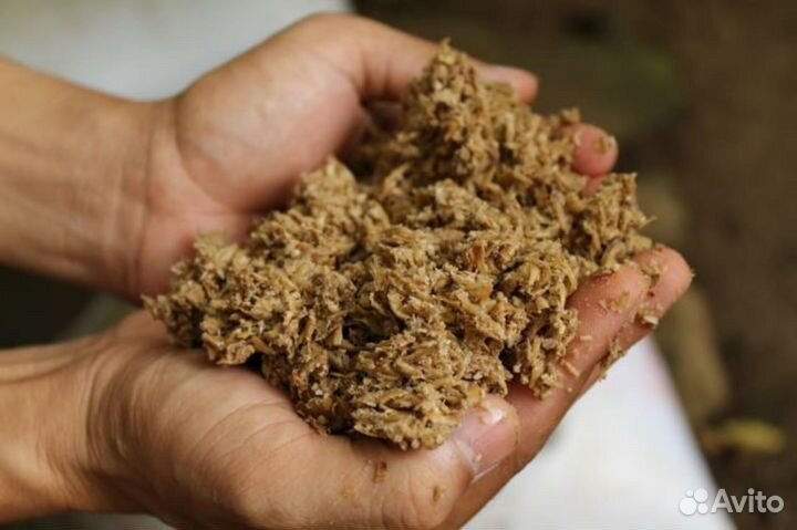 Корма для животных