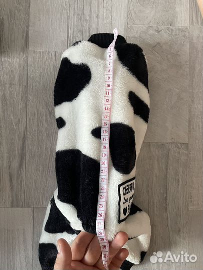 Костюм для собаки