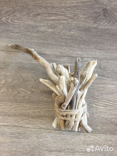 Морские коряги